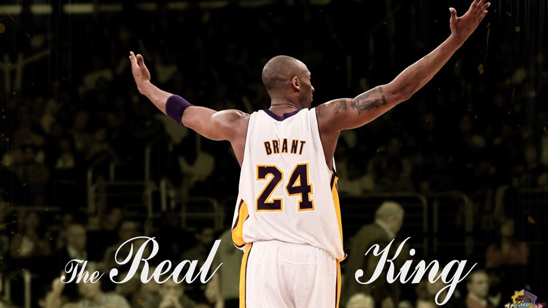 世界极限漂流贵宾赛，劲爆水流的极速比拼，极限漂流游戏