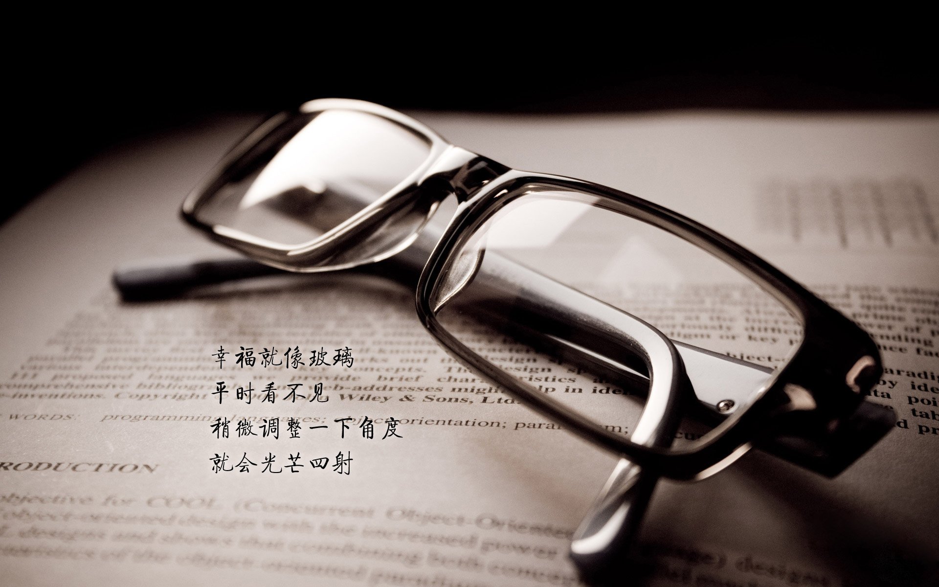 传统武术表演会，文化韵味在运动中绽放，年会武术表演