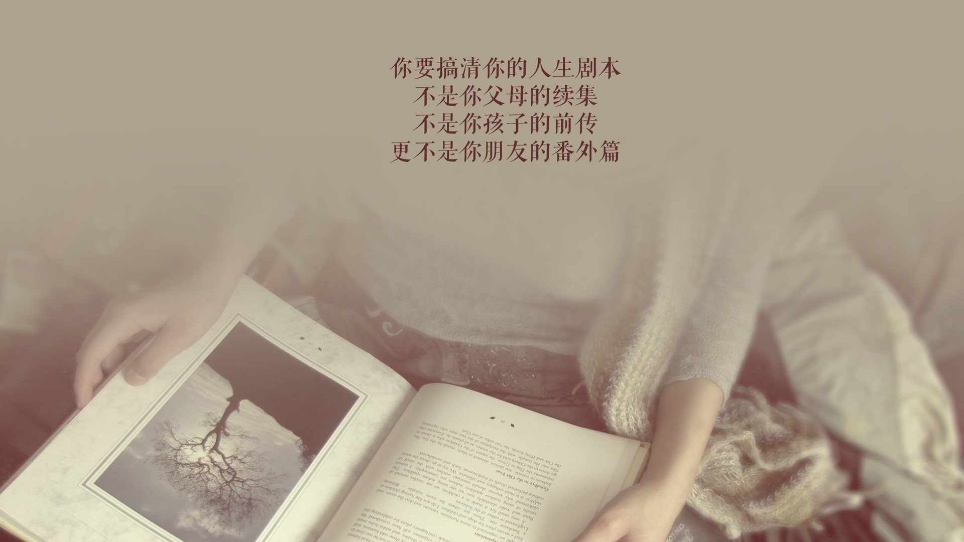 塞内加尔马术协会引入智能马鞍系统，实现实时数据监测与分析，提升骑乘体验。