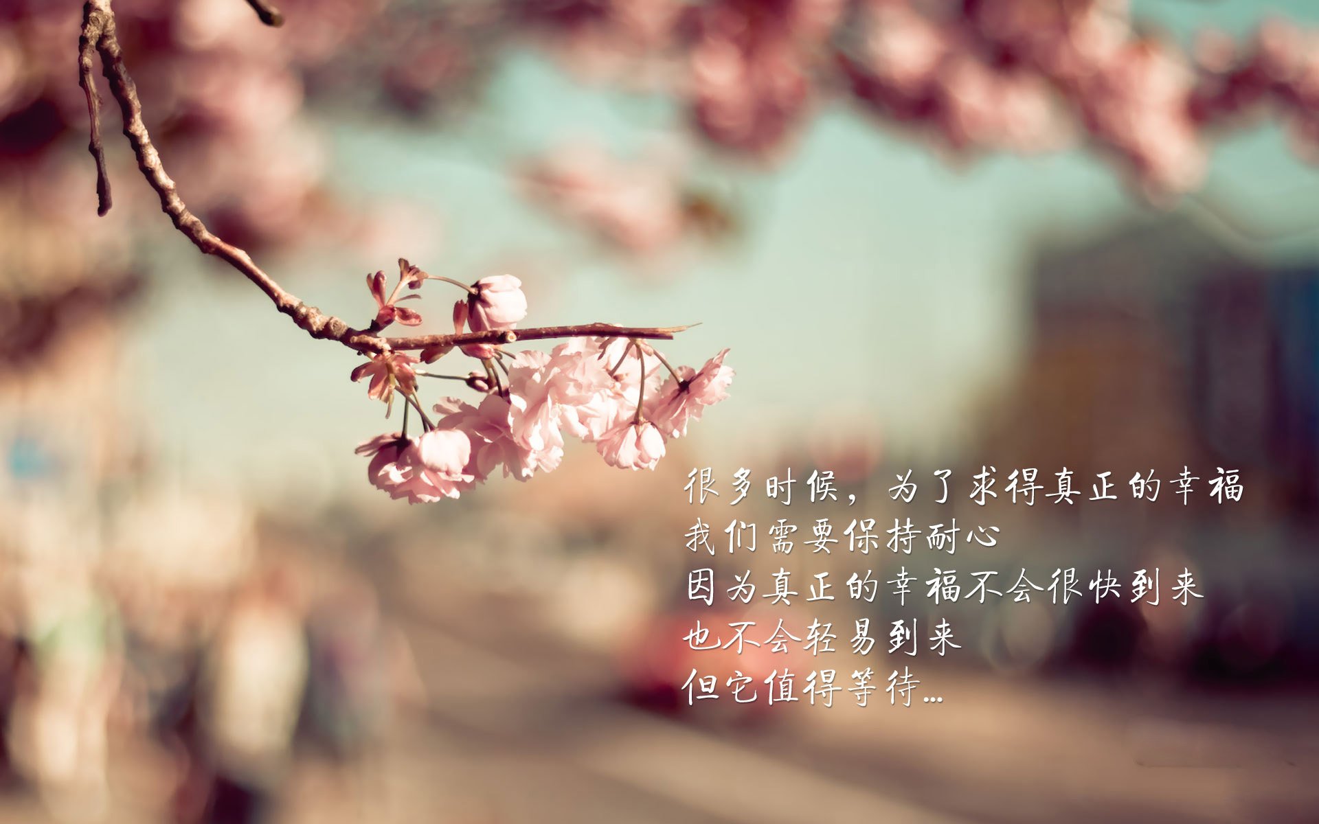 日本小将一球成名！，日本 球员
