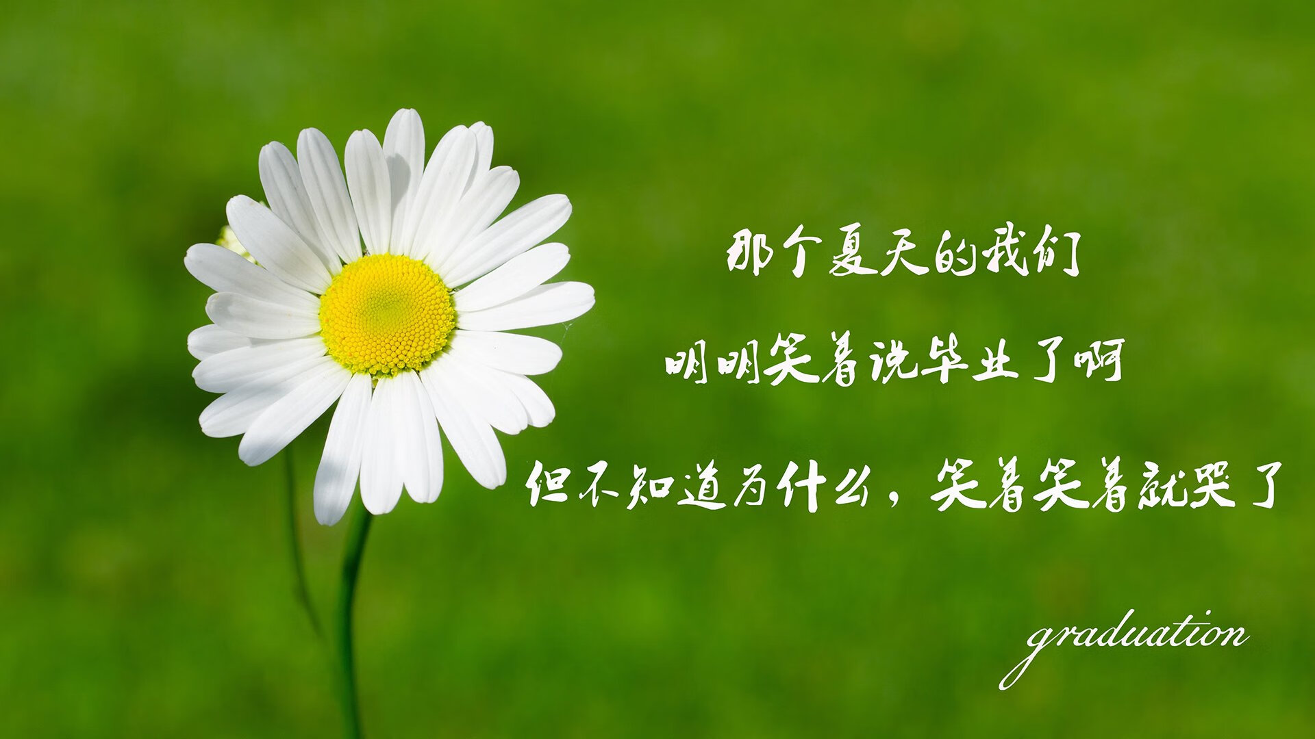 波尔图主场战胜强敌，波尔图主场叫什么名字
