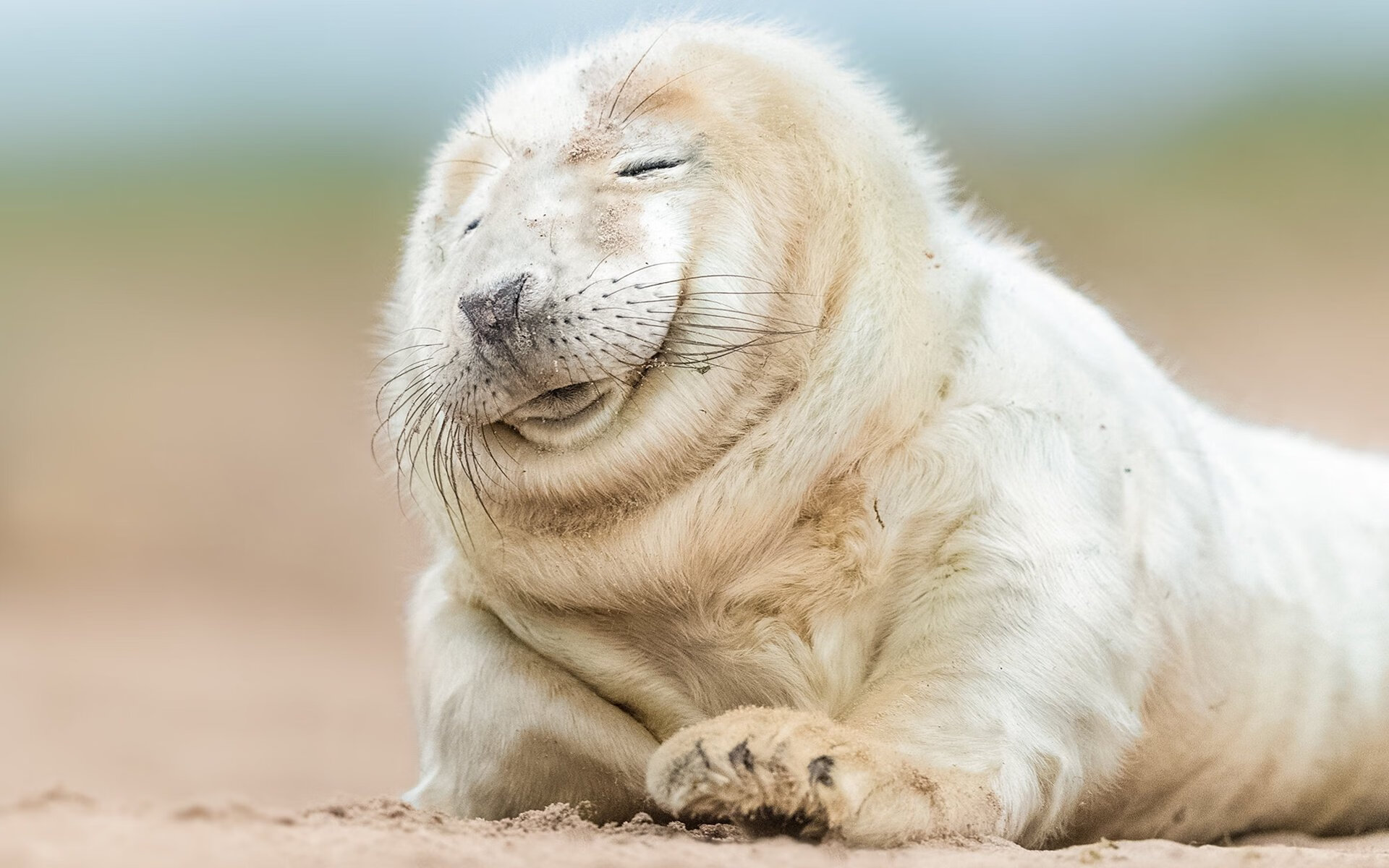 Jiuyou-CBA联盟启动冬训营项目全面提升青训质量，cba训练计划清单