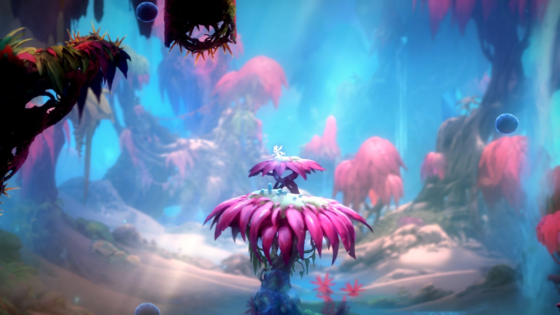 主教练暂停后的节奏恢复策略研究,主教练能不能站起来