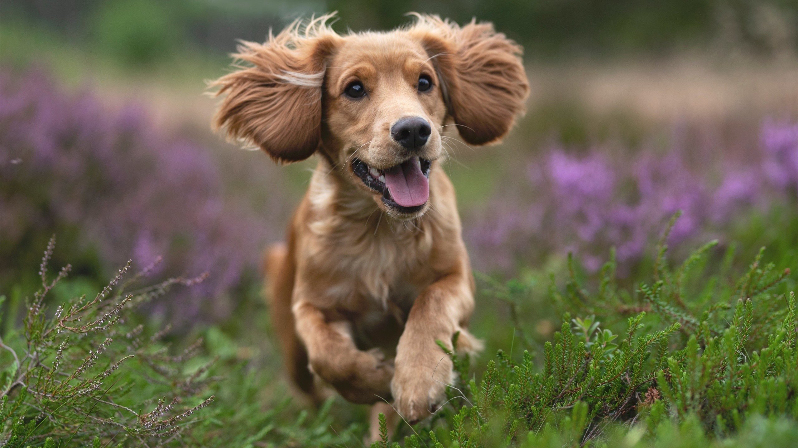 九游娱乐-五大联赛是否提升边后卫战术决策自由度，边后卫类型