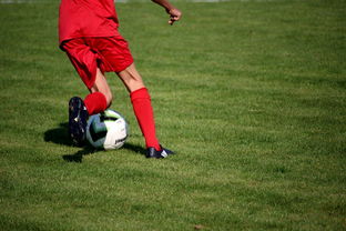 九游官网下载电脑版-俱乐部青训体系与职业联赛脱节，俱乐部青训有工资吗