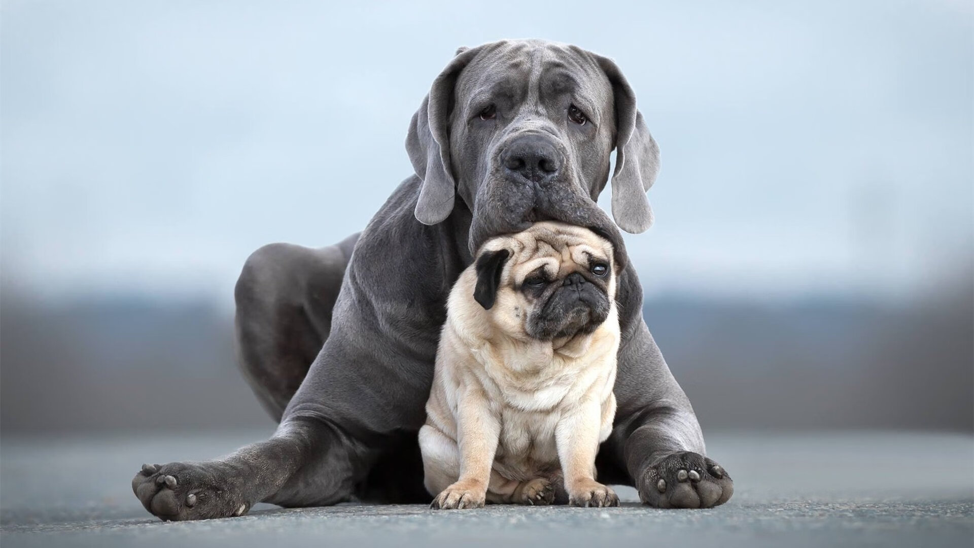 九游登录入口-出发弹跳力与速度数据关系，弹跳力发力点在哪里