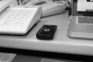 九游娱乐(jiuyou)官网-技术数据揭示冠军转身平均仅0.65秒，冠军转盘