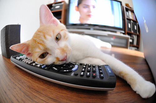 配速波形曲线对比赛影响分析，配速法原理