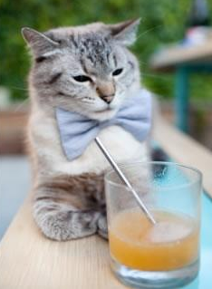 九游app下载中心-巴尔：每次防守后，他的快速反击总能让全黑队打破对方防线，巴尔baal