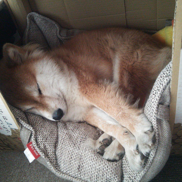 九游登录入口-西班牙青年队在欧洲青年赛中展现强大实力