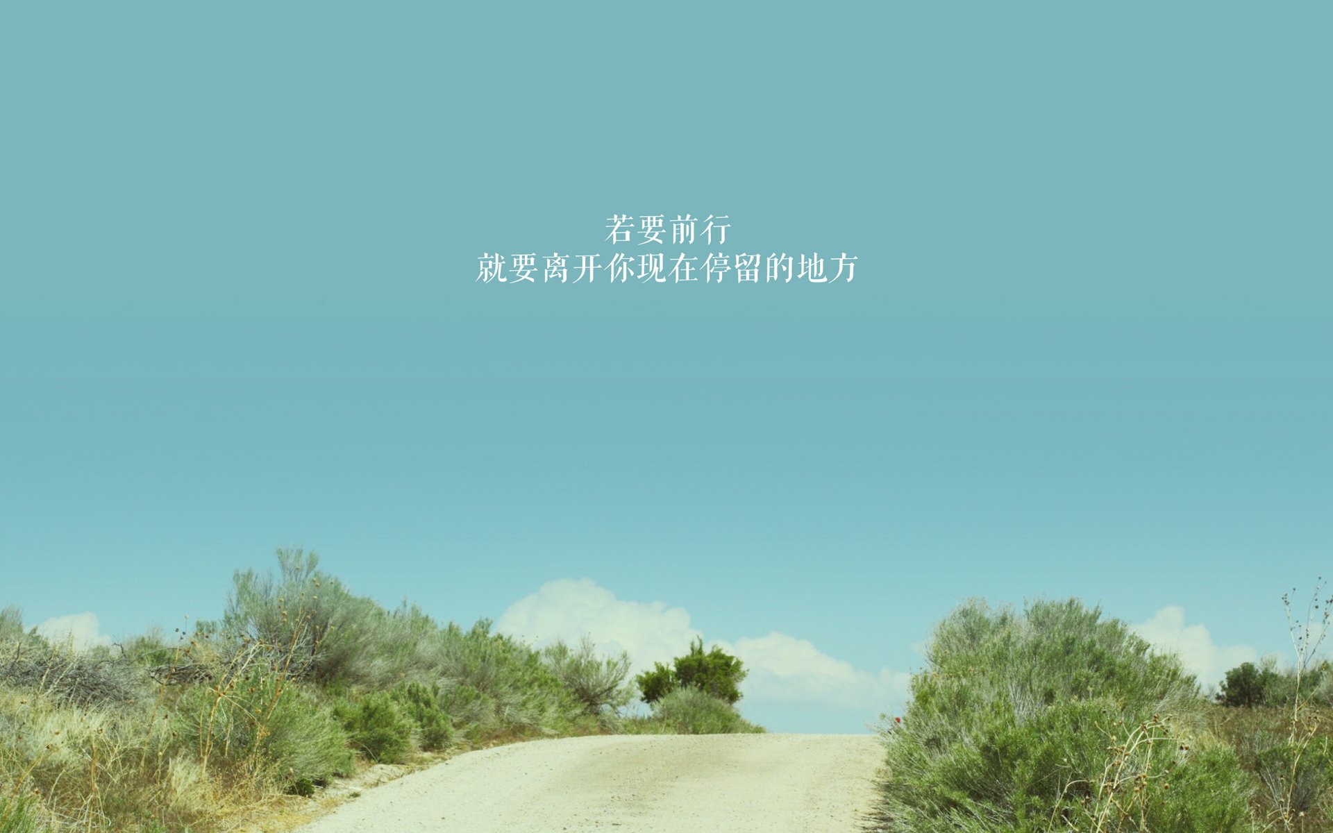 麦肯齐：全黑队的快速反击王，用超快的速度和精确的传球让对手措手不及